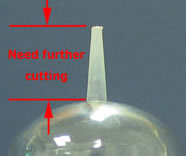 pet perform molds